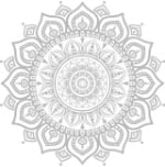 Lost-in-Translation-divider