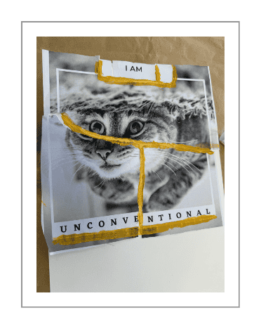 unconventional cat